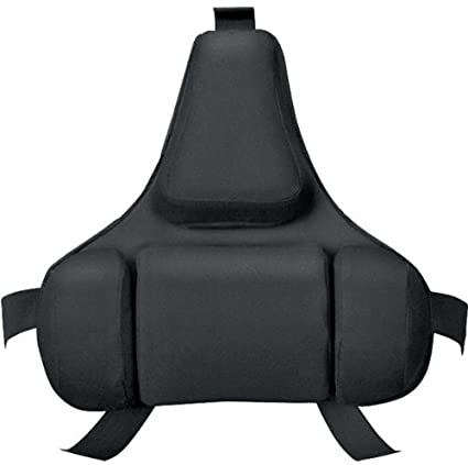 Fellowes Professional Series Back Support Review