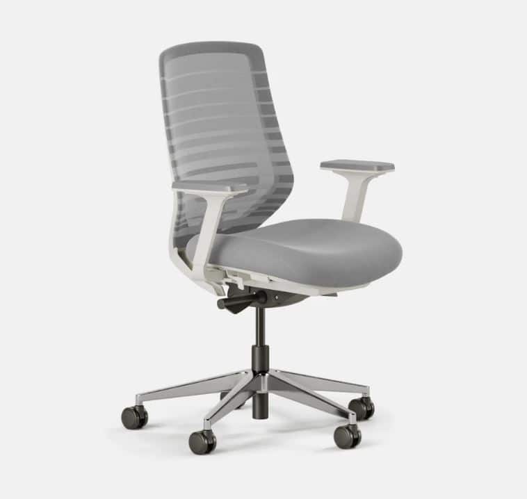 Branch Ergonomic Chair