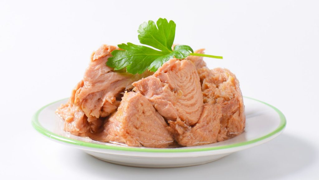 Healthy Snacks - Tuna