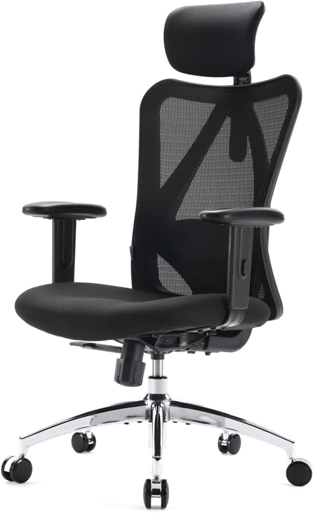 Best Ergonomic Chair for Back Pain - SIHOO M18 Ergonomic Office Chair