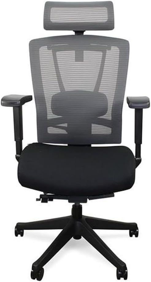 Autonomous Ergochair 2 Chair