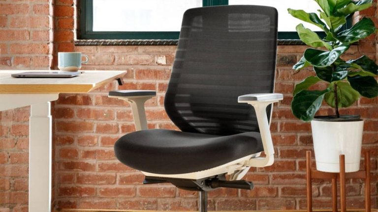 Branch Ergonomic Chair Review