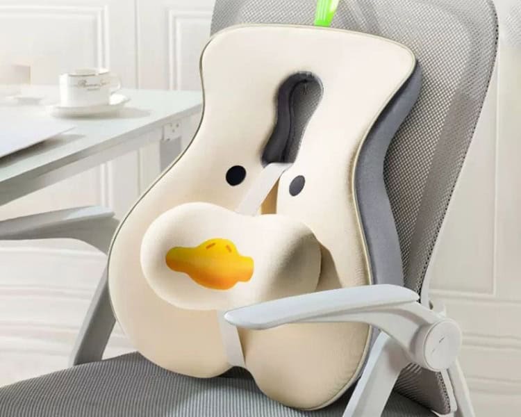 Softry Universal Memory Foam Lumbar Support Review